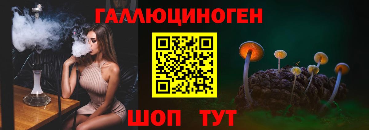 Галлюциногенные грибы прущие грибы  Вход с VPN  Шадринск 